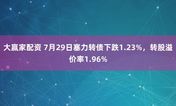 大赢家配资 7月29日塞力转债下跌1.23%，转股溢价率1.96%