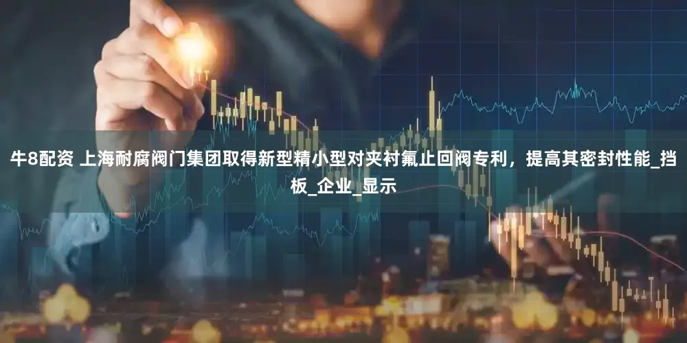 牛8配资 上海耐腐阀门集团取得新型精小型对夹衬氟止回阀专利，提高其密封性能_挡板_企业_显示
